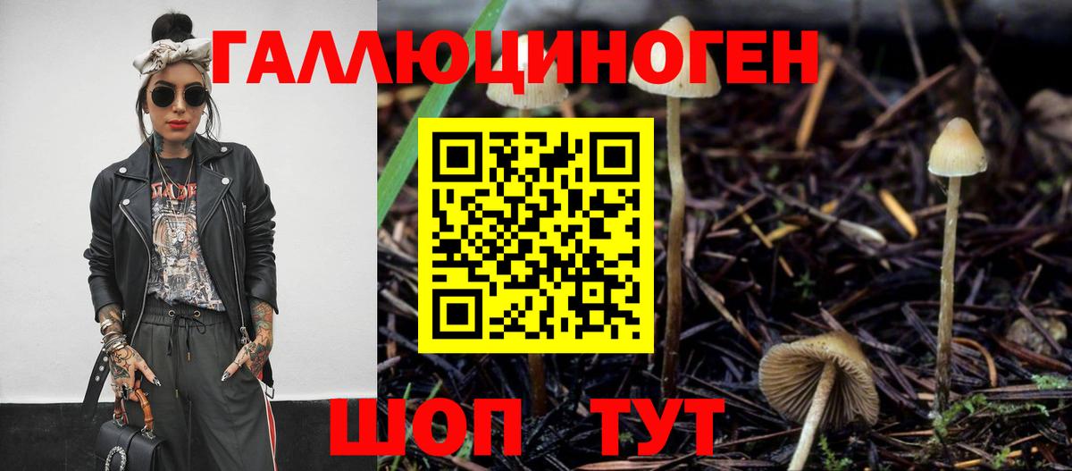 Когалым  Псилоцибиновые грибы ЛСД  цена   Псилоцибиновые грибы Psilocybine cubensis  Вход с VPN 