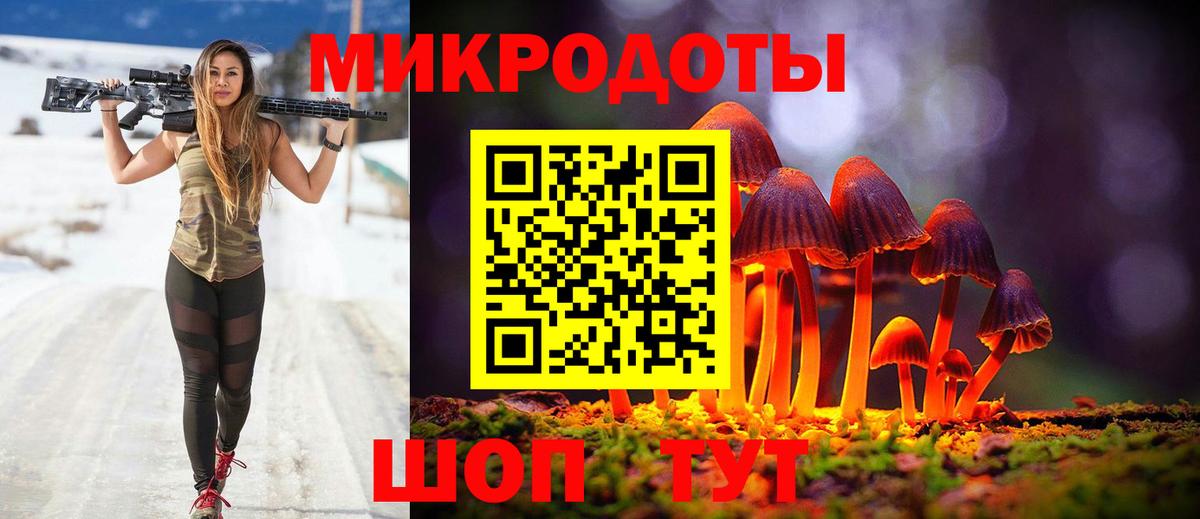 Псилоцибиновые грибы Psilocybine cubensis Когалым